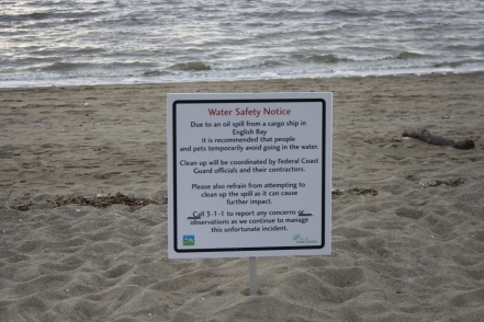 The tourism activities in English Bay were suspended by the spill for at least eleven days.
