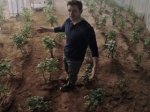Matt Damon plays an astronaut stranded on Mars but determined to live in The Martian.